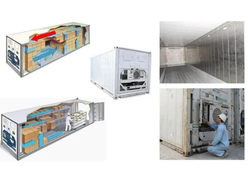 Tất Tần Tật Những Điều Cần Biết Về Chuỗi Cung Ứng Lạnh
