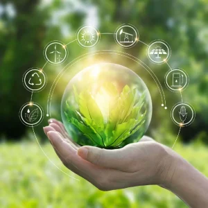 Giải pháp đóng gói thân thiện môi trường: Xu hướng tất yếu của chuỗi cung ứng bền vững