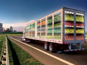 Tất Tần Tật Những Điều Cần Biết Về Chuỗi Cung Ứng Lạnh