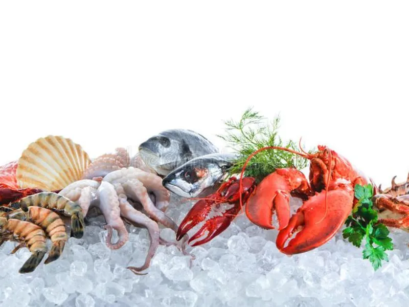 Mua Sắm Thực Phẩm Trực Tuyến: Những Tác Động Đến Phân Phối Hàng Hóa Đông Lạnh