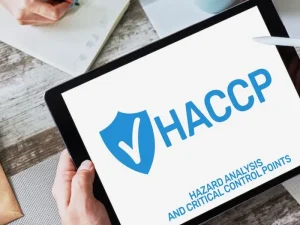 Haccp: Hệ Thống Quản Lý An Toàn Thực Phẩm Bắt Buộc Cho Mọi Doanh Nghiệp Hiện Đại