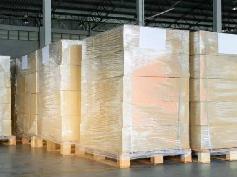 Xu Hướng “Xanh” Logistics – Tương Lai Kho Hàng Không Nhựa