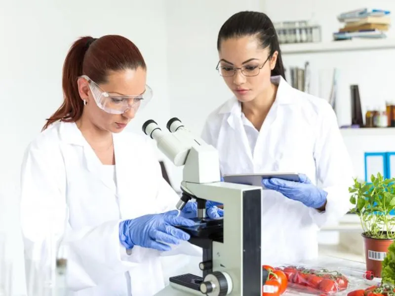 Haccp: Hệ Thống Quản Lý An Toàn Thực Phẩm Bắt Buộc Cho Mọi Doanh Nghiệp Hiện Đại